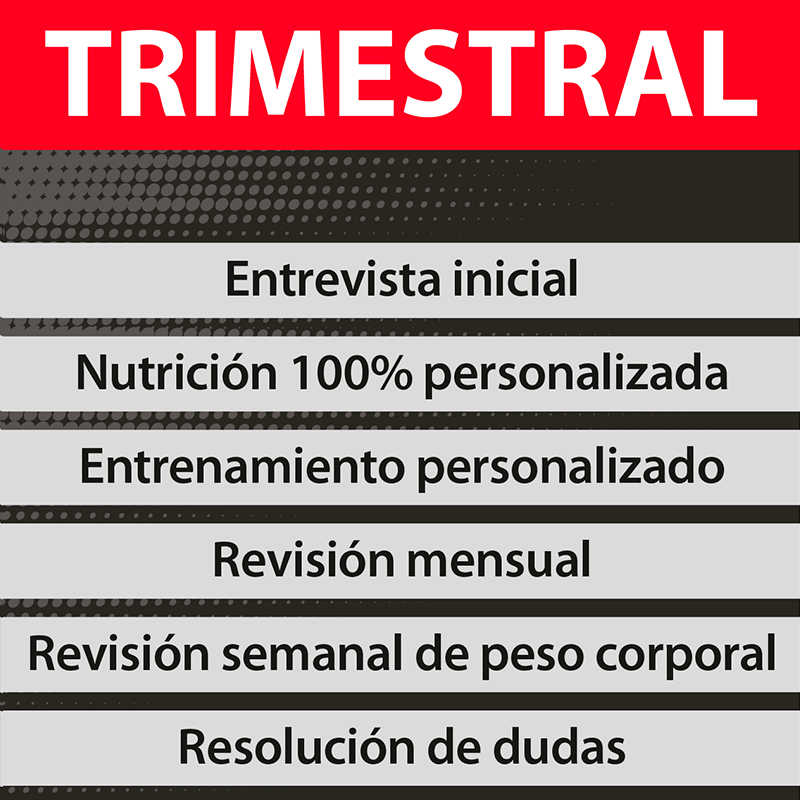 PLAN TRIMESTRAL (Rutina + Dieta)
