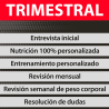 PLAN TRIMESTRAL (Rutina + Dieta)